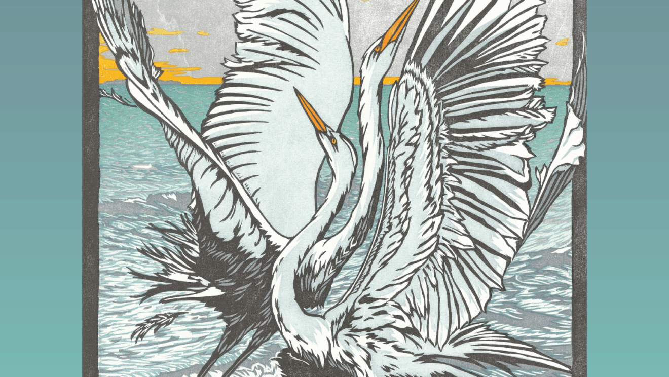 Wild and Scenic Film Festival